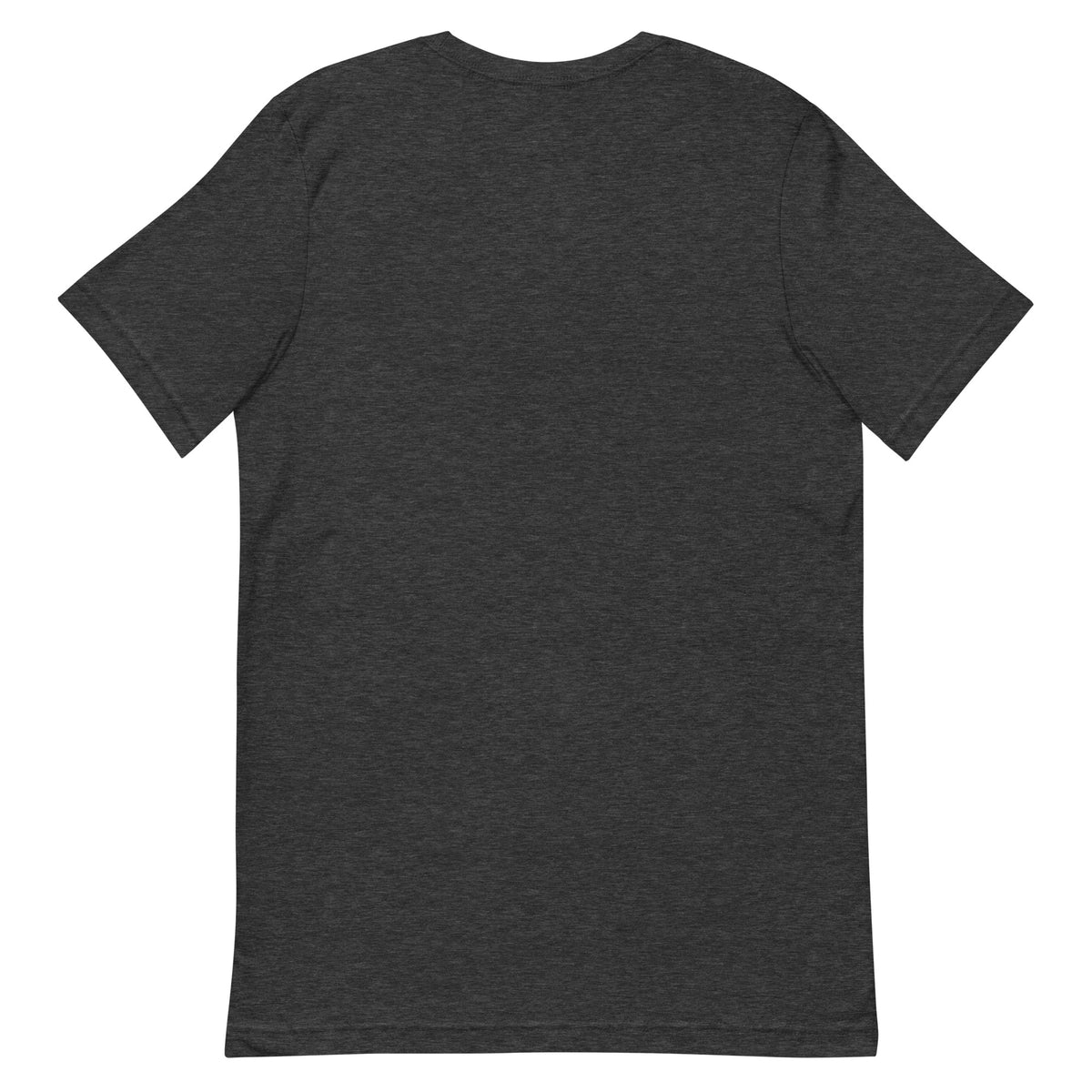 No Waste No Worries Tee in Dark Grey Heather, product-only back view