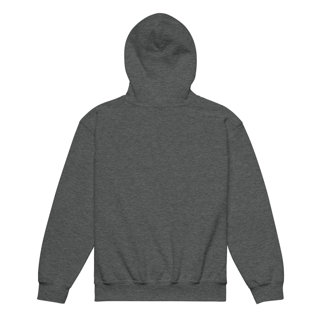 Dumpster Paradise Junior Youth Hoodie in Dark Heather, product-only back view