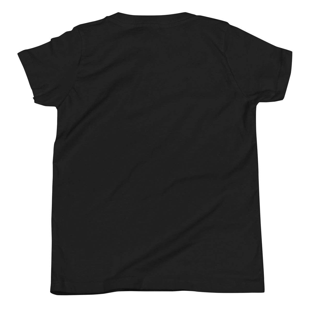 Dumpster Paradise Junior Youth Tee in Black, product-only back view
