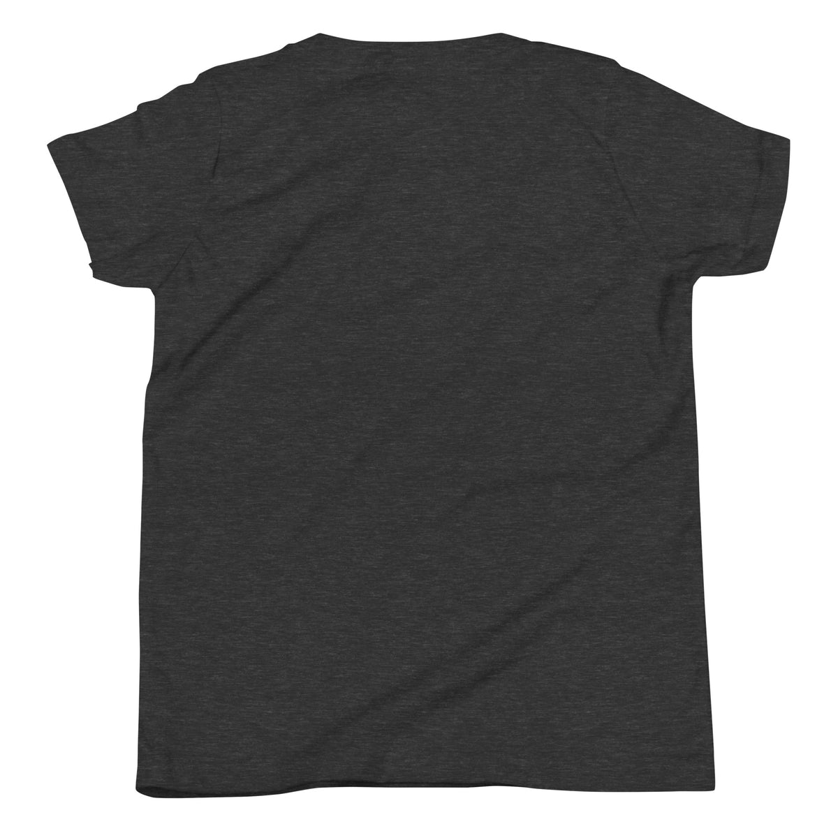 Trash Royalty Junior Youth Tee in Dark Grey Heather, product-only back view
